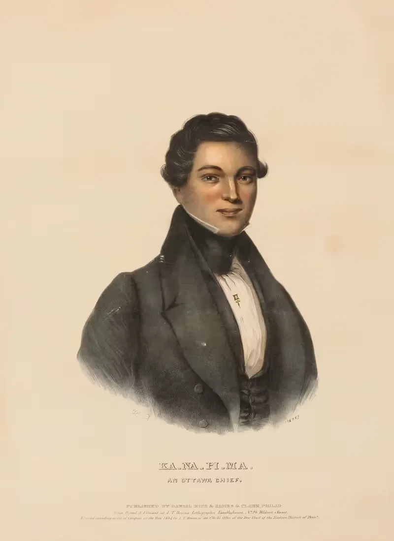 Ka-Na-Pi-Ma, An Ottawa Chief — Charles Bird King