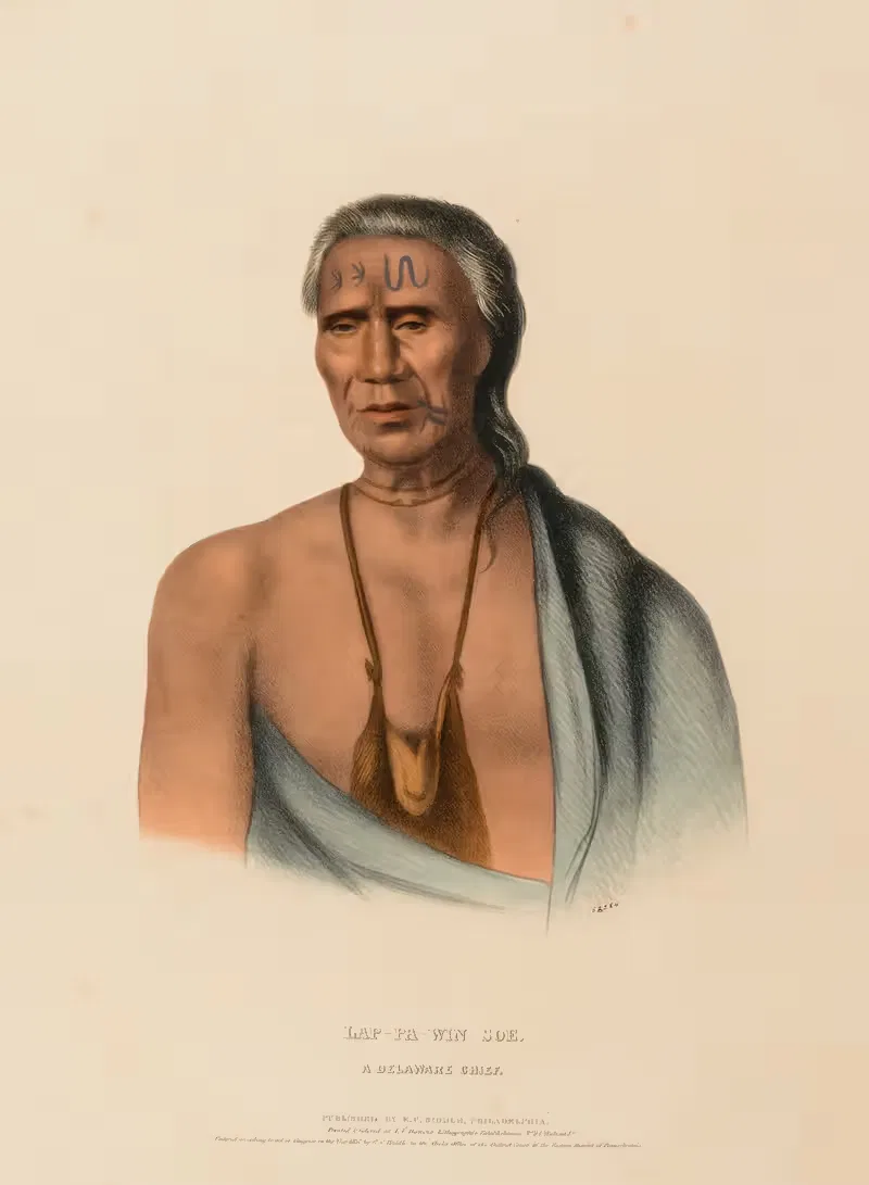 Lap-Pa-Win-Soe. A Delaware Chief by Charles Bird King, 1837 — digital art print download