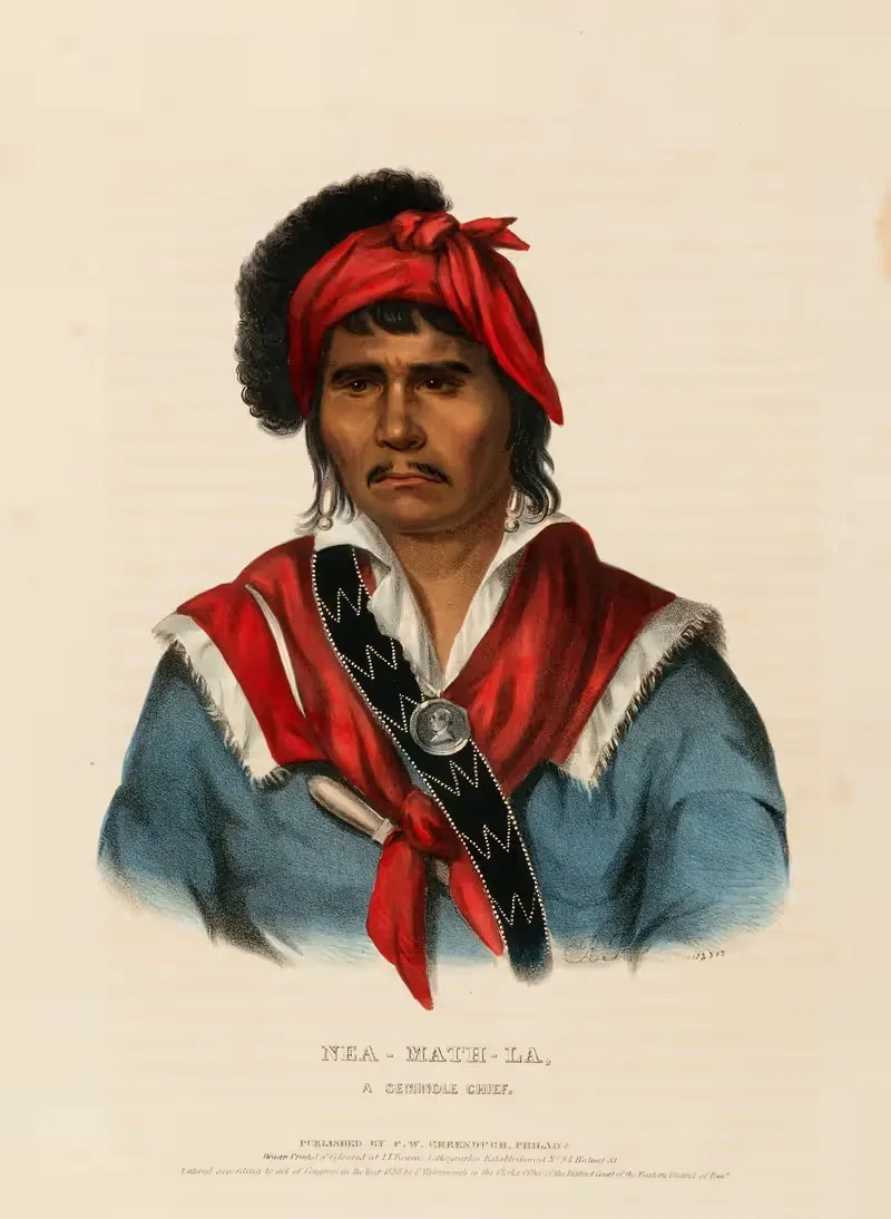 Неа-Матла, семинольский вождь by Чарльз Берд Кинг, 1826 — digital art print download