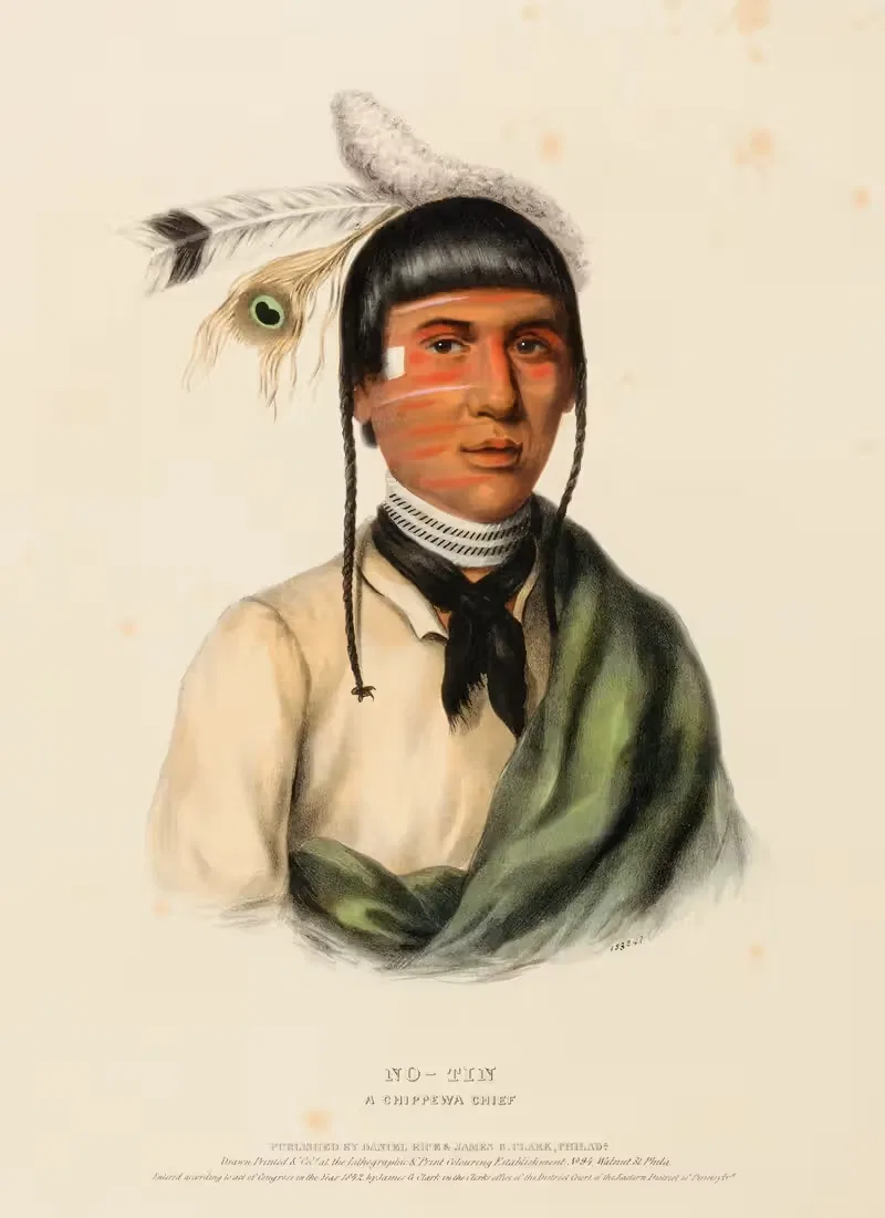 No-Tin. A Chippewa Chief by Charles Bird King, 1842 — digital art print download