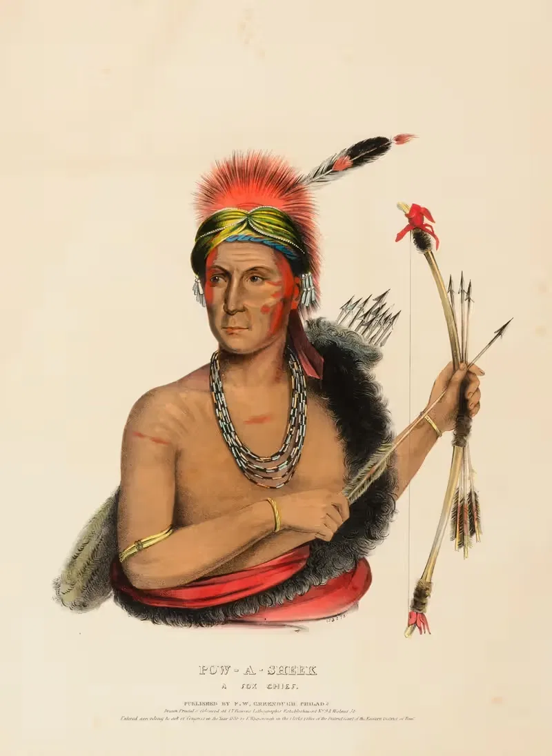 Пау-А-Шик. Лисий вождь by Чарльз Берд Кинг, 1838 — digital art print download