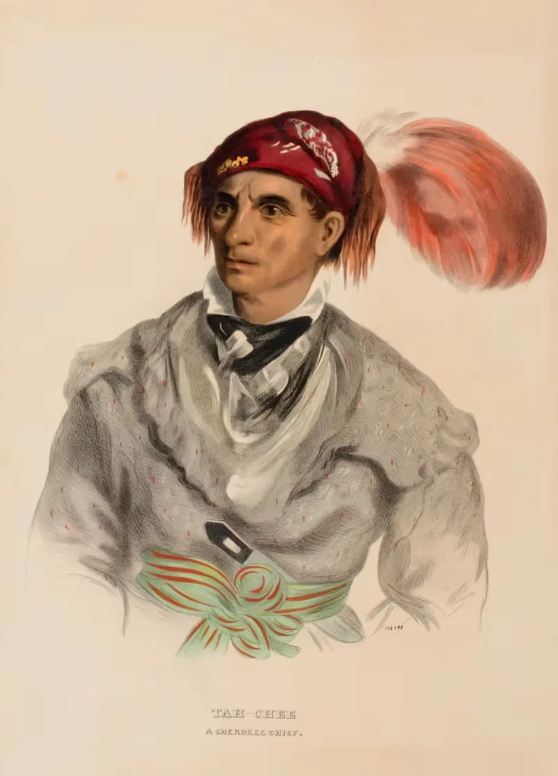 Тах-Чи (Голландия), вождь чероки by Чарльз Берд Кинг, 1837 — digital art print download