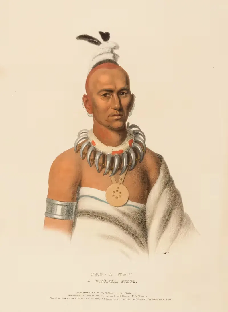 Tai-O-Mah. A Musquakee Brave — Charles Bird King