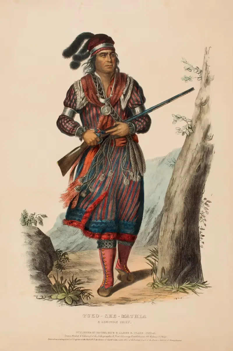 Туко-Си-Матла. Семинольский вождь by Чарльз Берд Кинг, 1843 — digital art print download