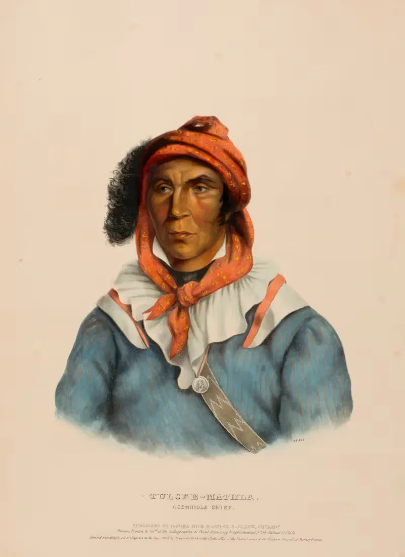 Тулси-Матла. Семинольский вождь by Чарльз Берд Кинг, 1843 — digital art print download