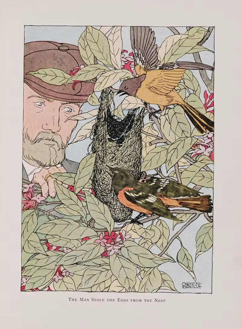 The man stole the eggs from the nest — Maginel Wright Enright