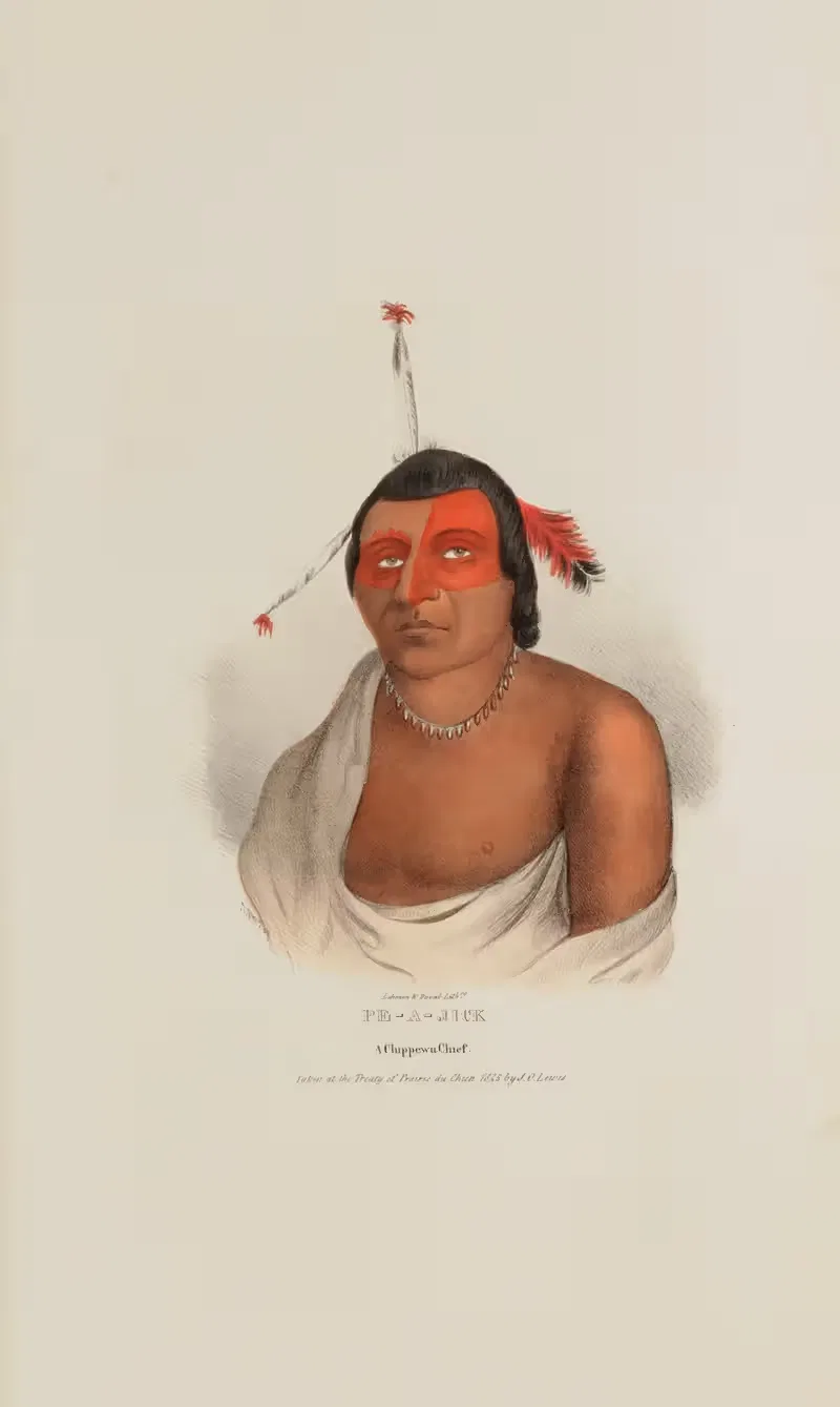 PE-A-JICK; A Chippewa Chief by James Otto Lewis, 1835 — digital art print download