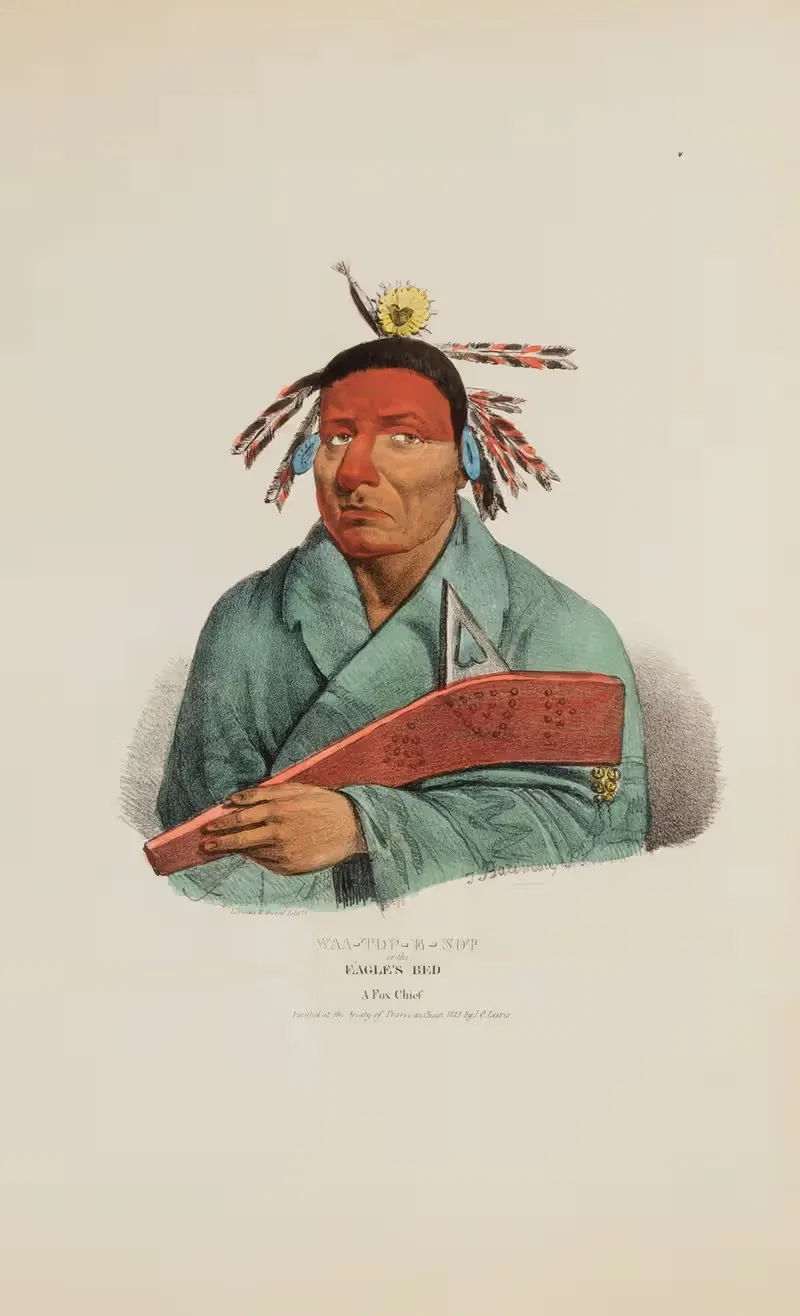 WAA-TOP-E-NOT or the Eagle’s Bed; A Fox Chief by James Otto Lewis, 1835 — digital art print download