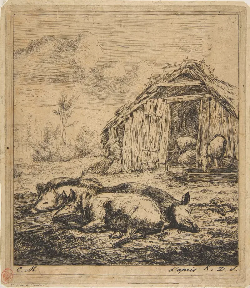 Three Pigs Lying in Front of a Shed — Charles Meryon