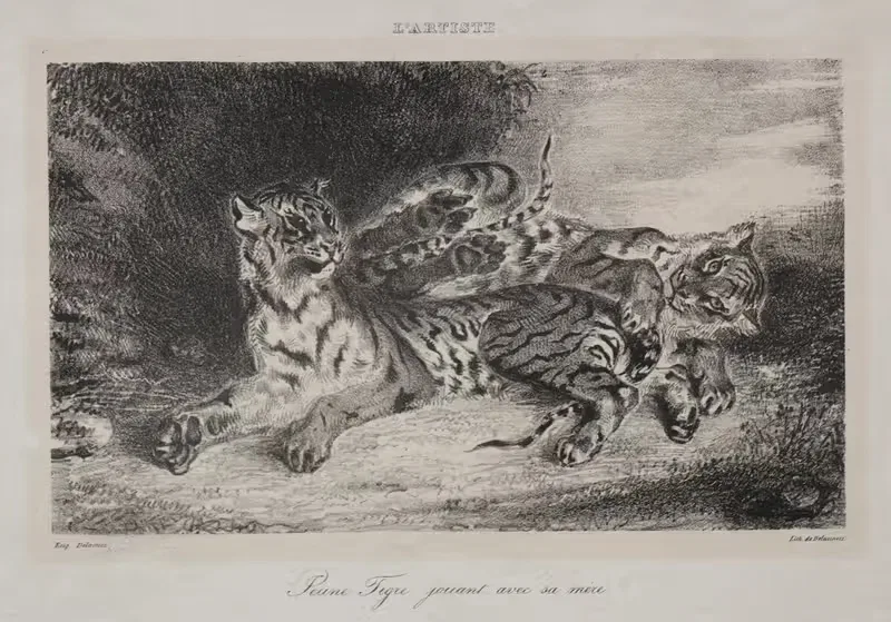 Молодой тигр играет с матерью by Эжен Делакруа, 1831 — digital art print download