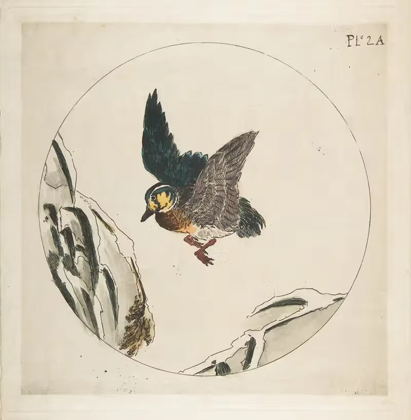 Утка, летящая над снежными ветвями by Феликс Браккемонд, 1850–1914 — digital art print download
