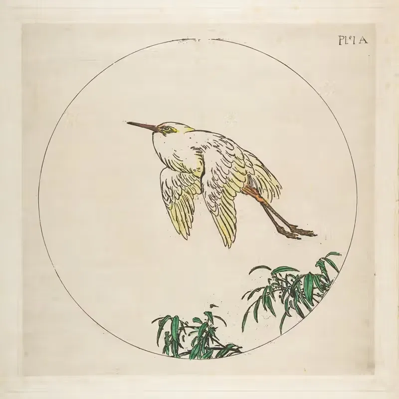 Цапля, летящая над бамбуковыми ветвями by Феликс Браккемонд, 1850–1914 — digital art print download
