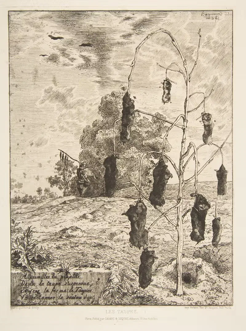 Les Taupes by Félix Bracquemond, 1854 — digital art print download