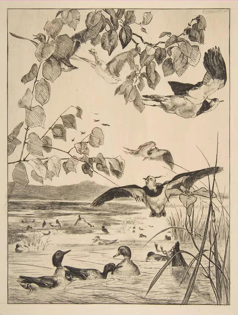 Vanneaux et Sarcelles by Félix Bracquemond, 1862 — digital art print download