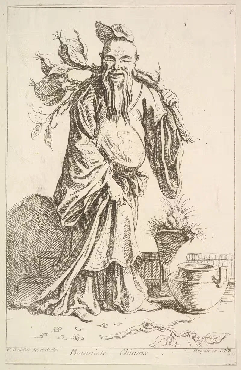 Китайский ботаник by Франсуа Буше, 1738–1745 — digital art print download