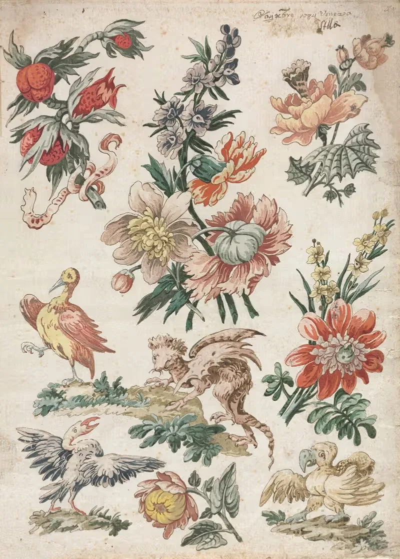 Floral Designs with Birds and Griffon — Giacomo Cavenezia