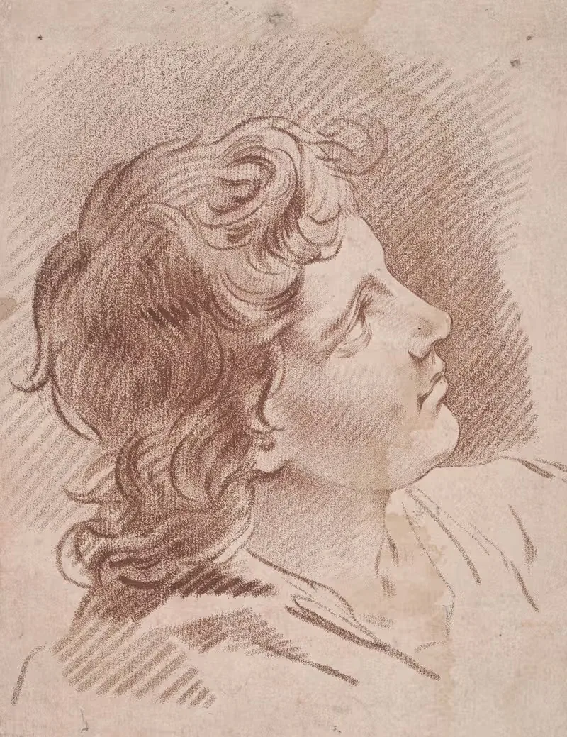 Head of a Young Man — Gilles Demarteau the Elder