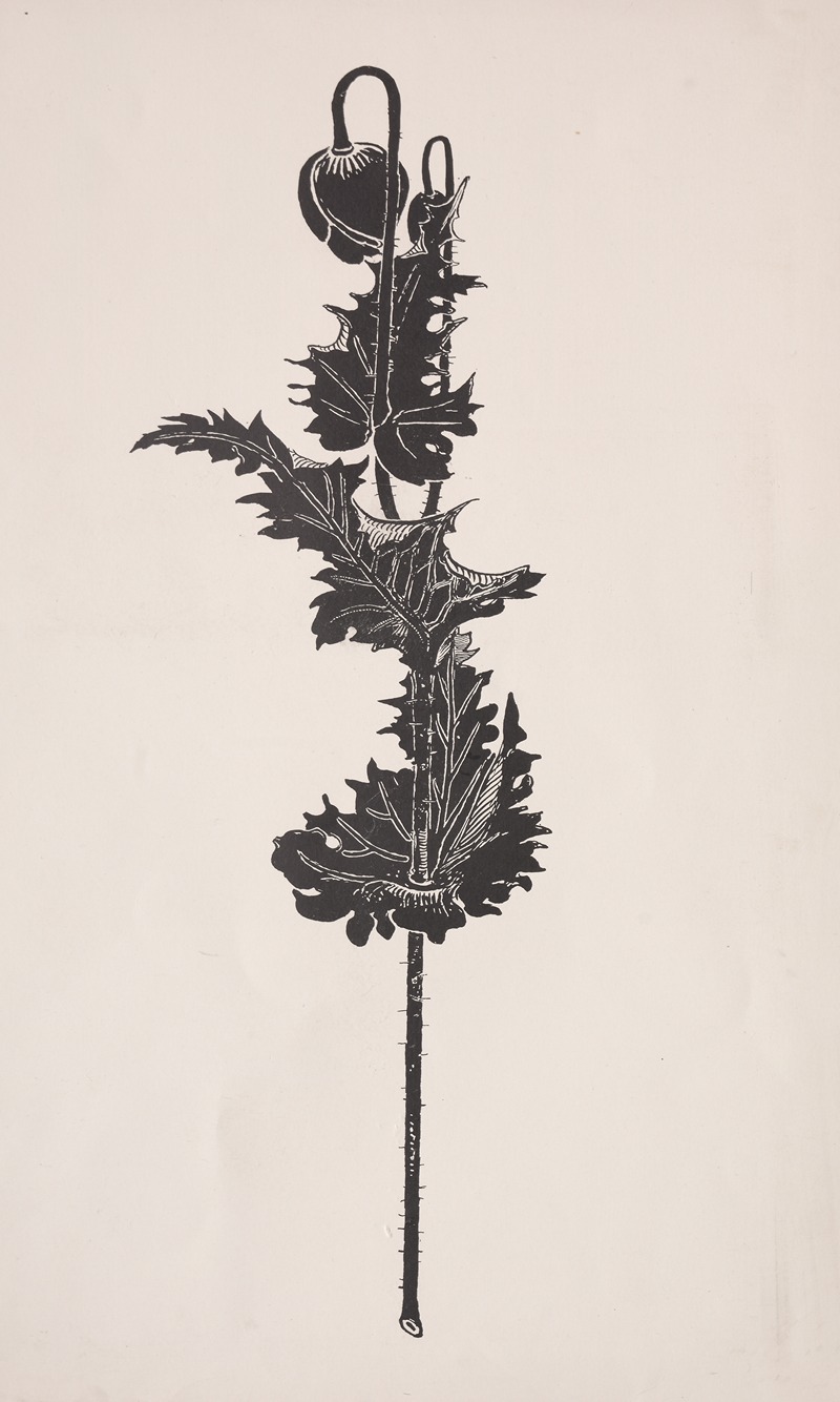 Flower Study by Harry Fenn, 1860–1911 — digital art print download
