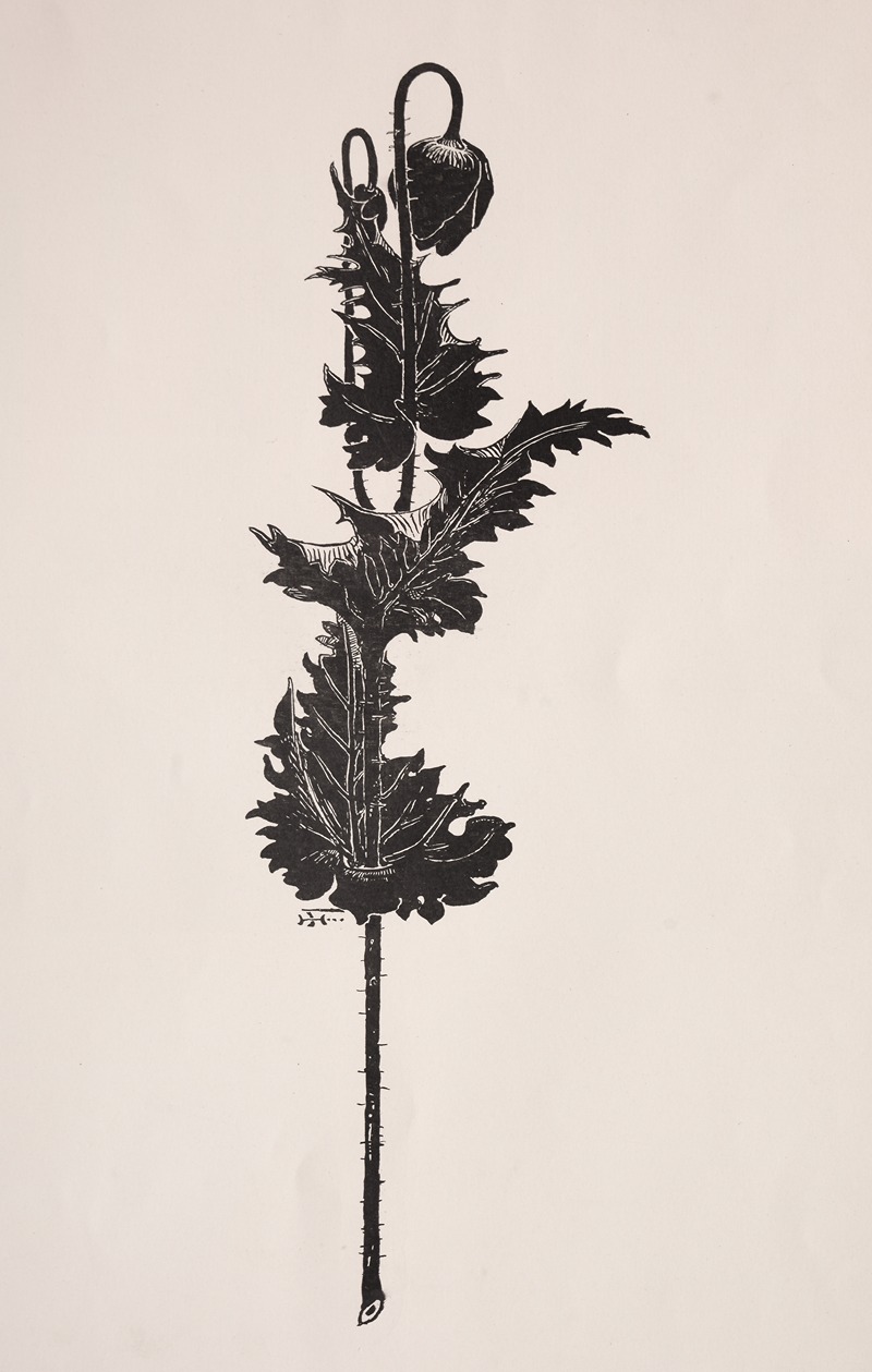 Изучение цветов by Гарри Фенн, 1860–1911 — digital art print download