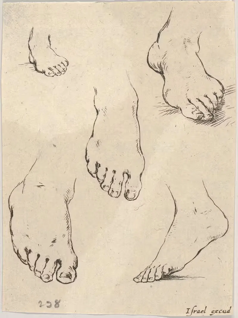 Плита 7; Пять футов by Стефано Делла Белла, 1649 — digital art print download