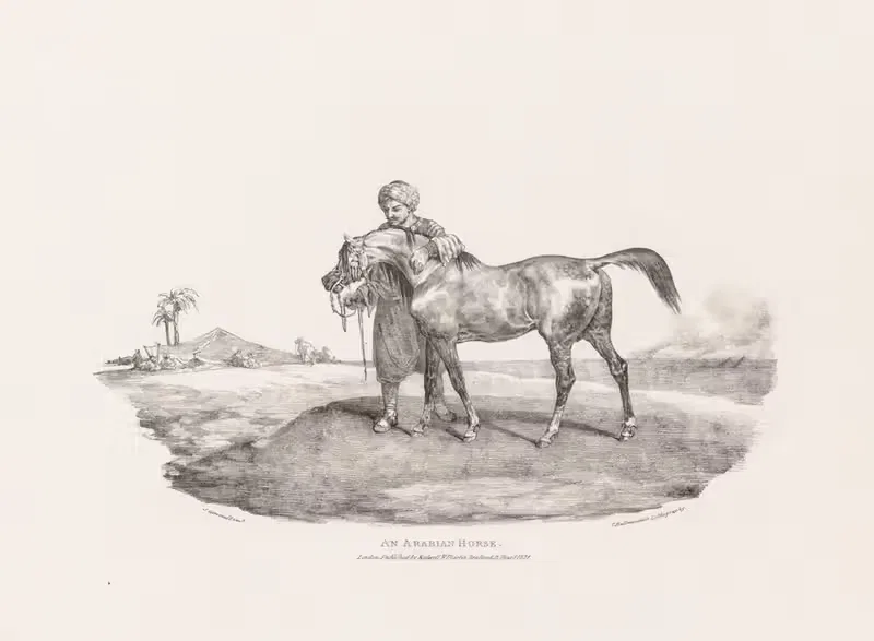 Арабская лошадь by Теодор Жерико, 1821 — digital art print download