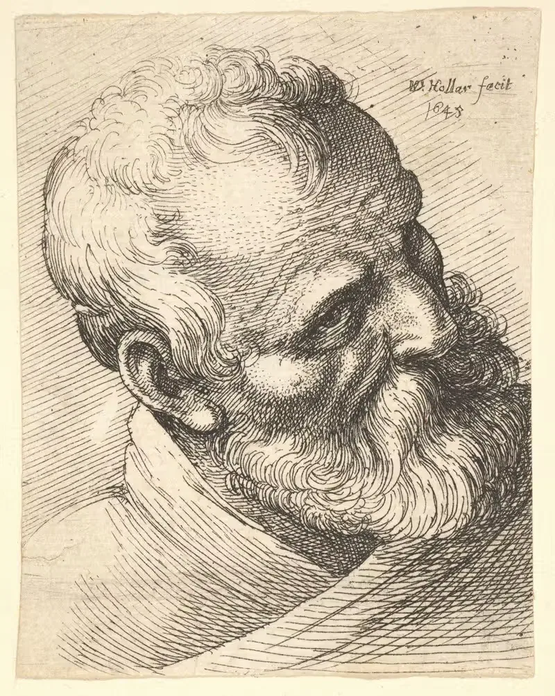 Bearded old man with a tilted head by Wenceslaus Hollar, 1645 — digital art print download