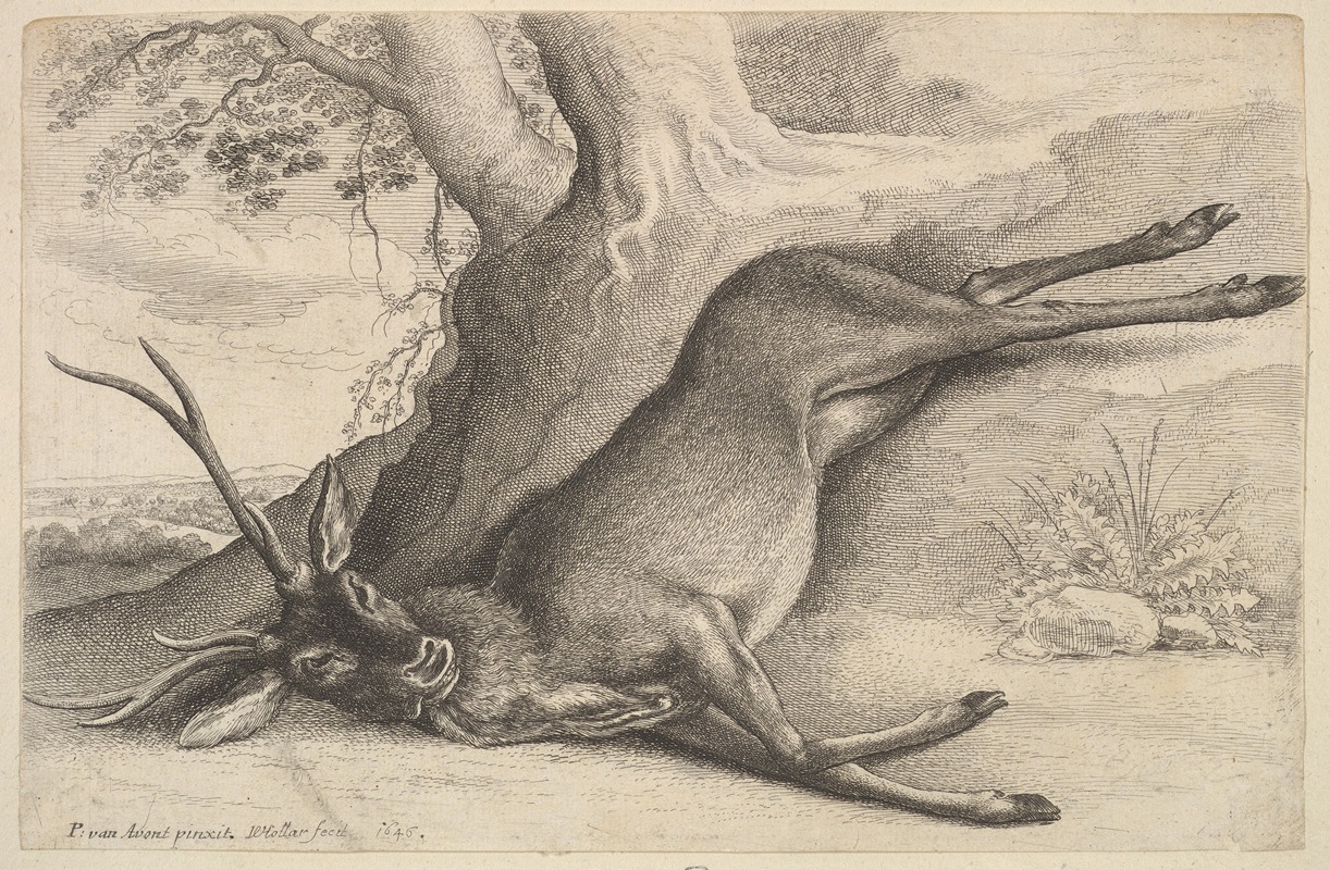 Dead stag by Wenceslaus Hollar, 1647 — digital art print download