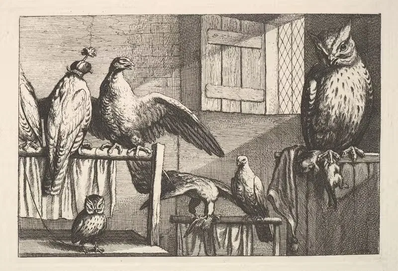 Hawks and owls by Wenceslaus Hollar — digital art print download