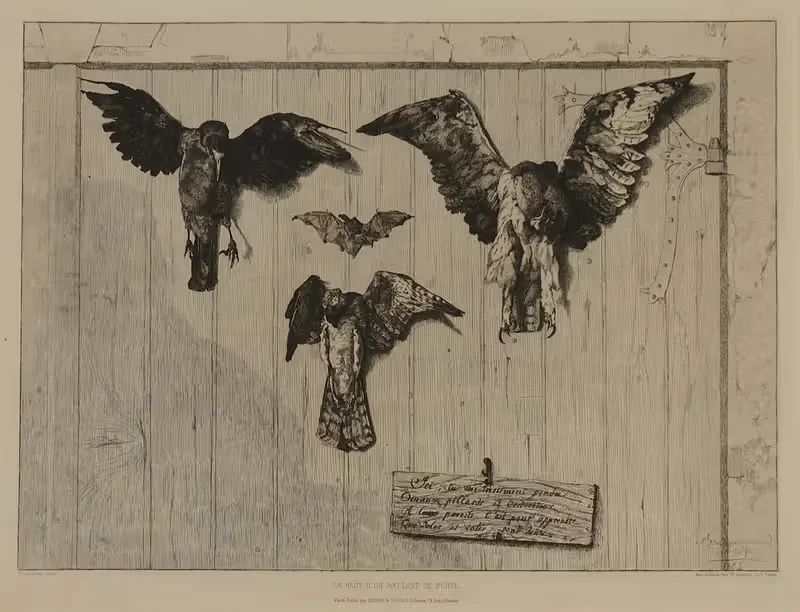 Birds Nailed to a Barn Door — Félix Bracquemond