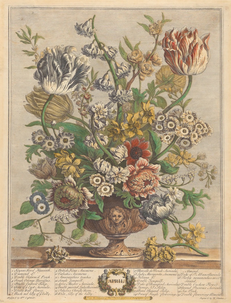 April by Pieter Casteels III, 1730 — digital art print download
