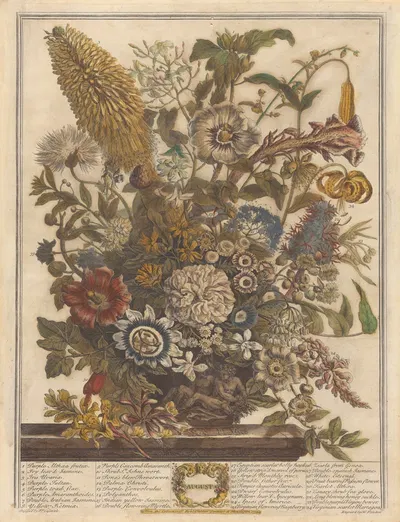 August by Pieter Casteels III, 1730 — digital art print download
