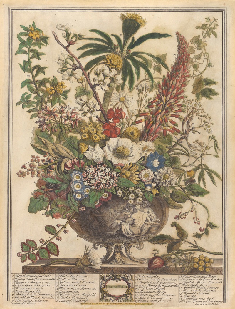December by Pieter Casteels III, 1730 — digital art print download