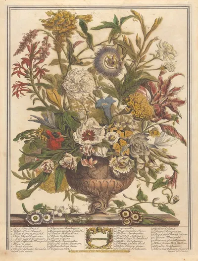 September by Pieter Casteels III, 1730 — digital art print download