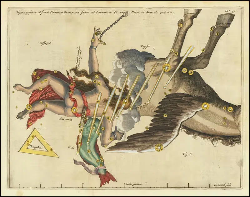 Figura posterior observat. Cometicar, Franequerae factar, ad Communicat. — Stanisław Lubieniecki