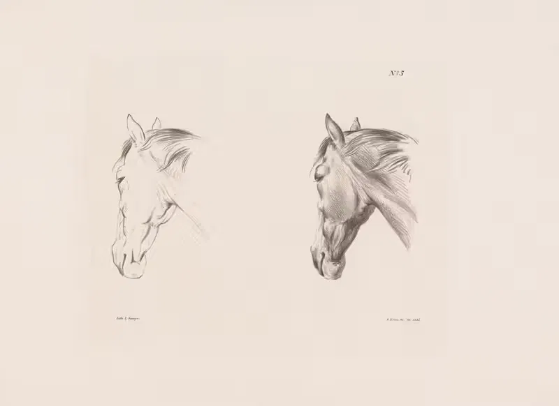Twee studies van een paardenhoofd — Pieter Frederik van Os