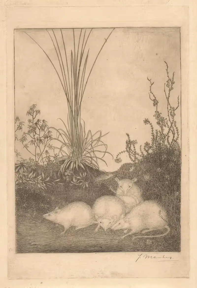 Четыре мыши by Ян Манкес, 1916 — digital art print download