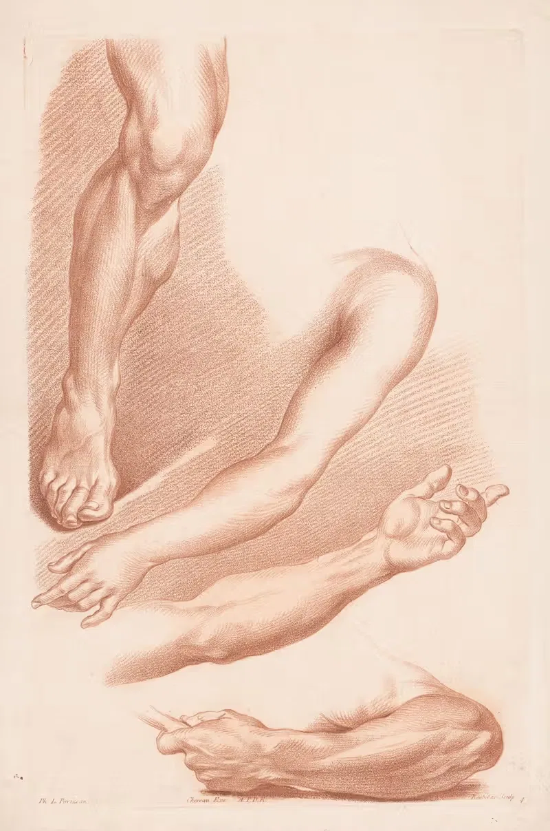 Different views of a leg and arms — Louis-François Roubiliac