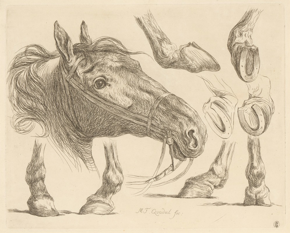 Horse head and hooves by Мартин Фердинанд Куадал, 1793 — digital art print download