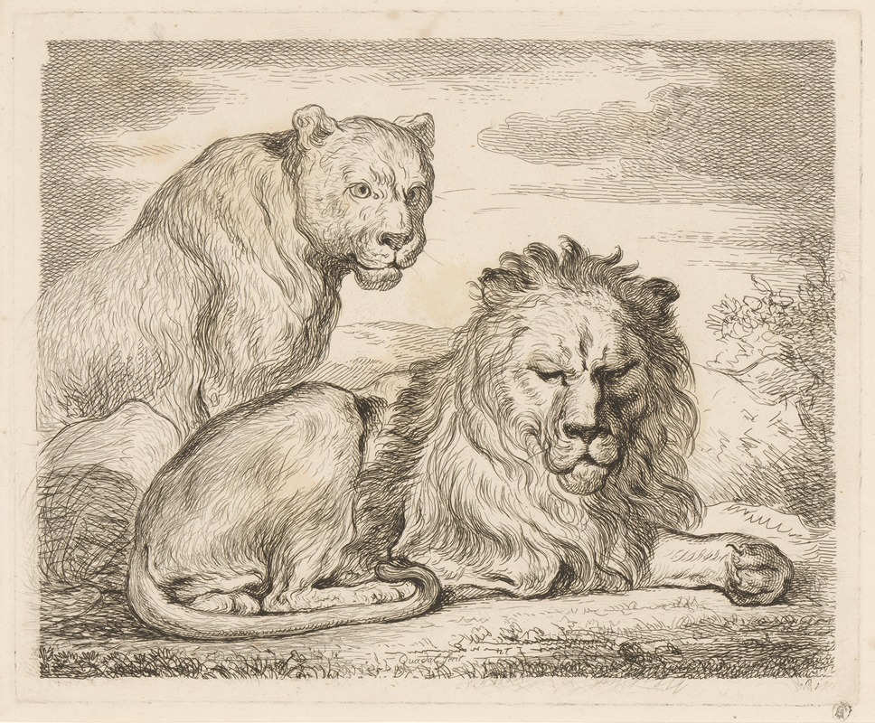 Lion and lioness by Мартин Фердинанд Куадал, 1793 — digital art print download