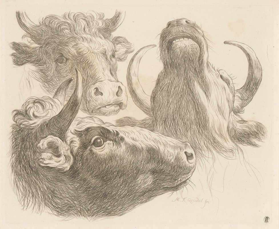 Three cow heads by Martin Ferdinand Quadal, 1793 — digital art print download