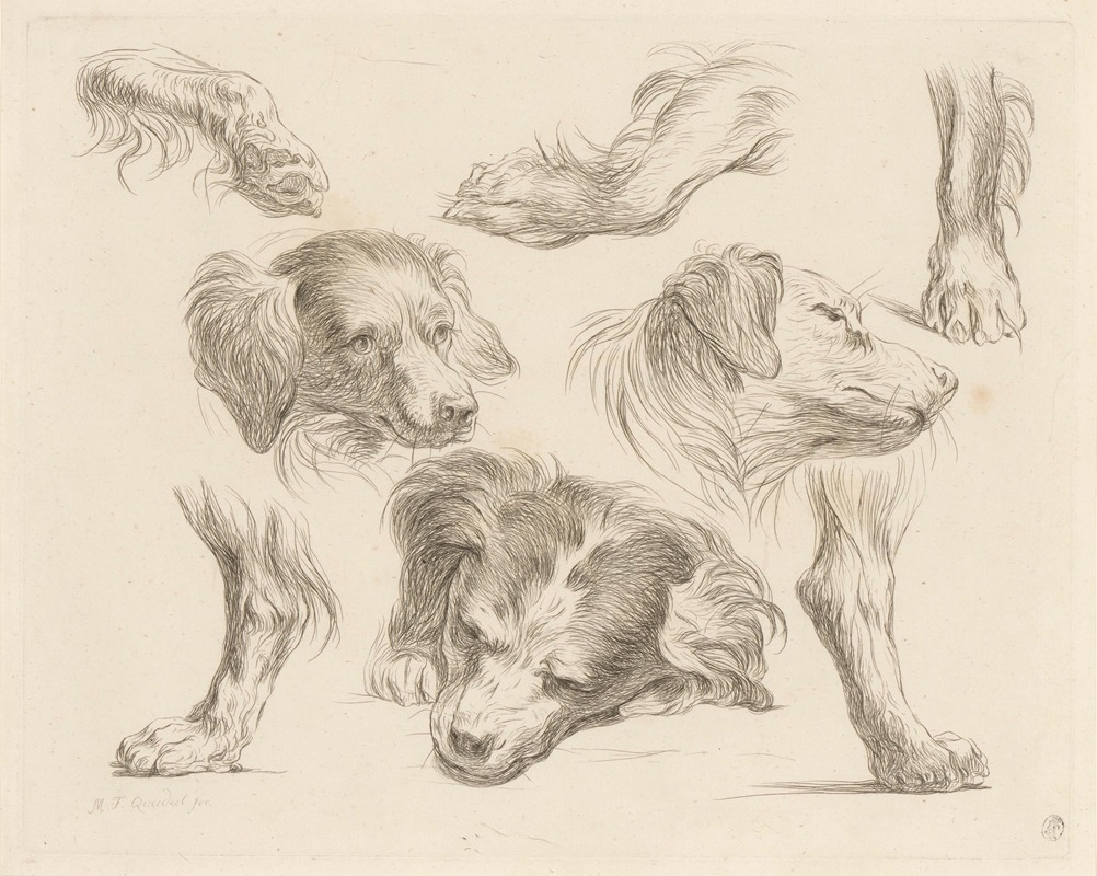 Three dog heads and paws by Мартин Фердинанд Куадал, 1793 — digital art print download