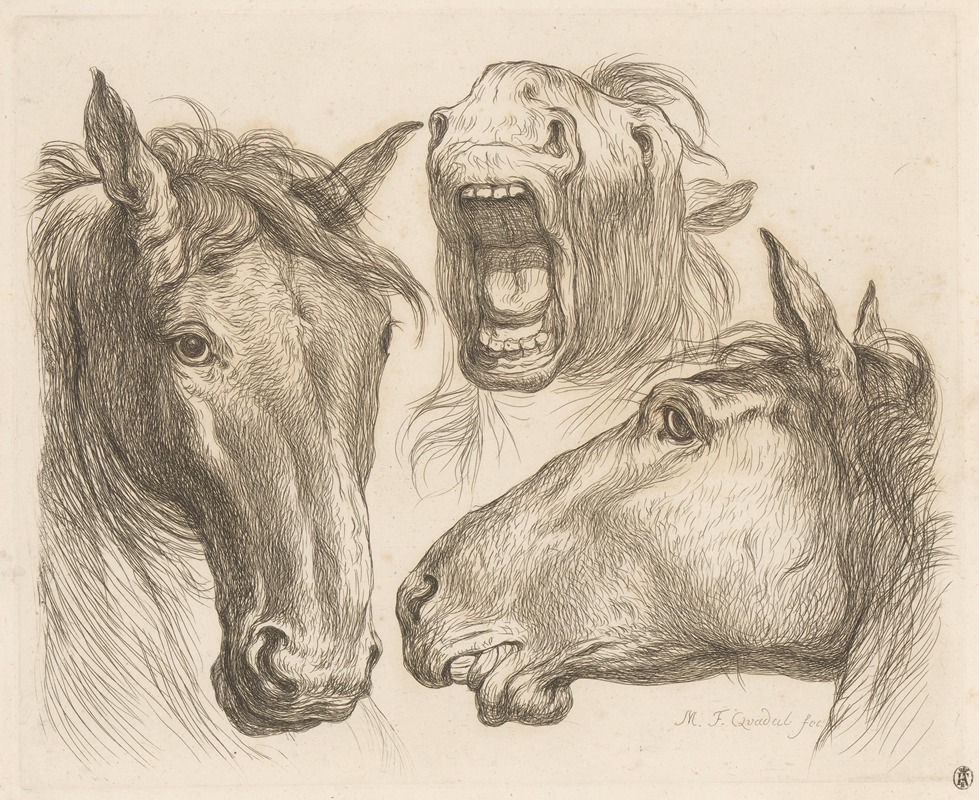 Three horse heads by Мартин Фердинанд Куадал, 1793 — digital art print download