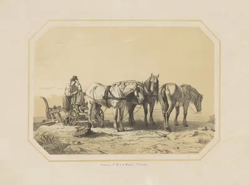 Paarden voor een ploeg — Pieter Wilhelmus van de Weijer