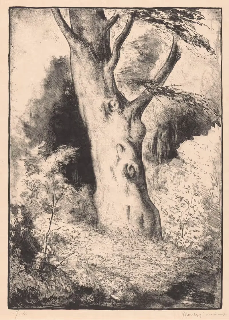 Ствол букового дерева by Симон Мулейн, 1927 — digital art print download