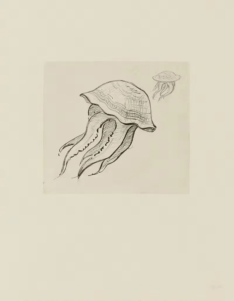 Две медузы – неиспользованный рисунок by Ахилле Гранчи-Тейлор, 1920-1921 — digital art print download