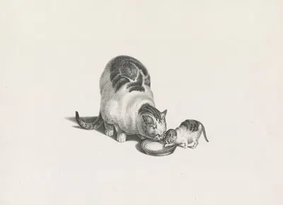Domestic cat and kitten drinking milk from a saucer by Gottfried Mind, 1820-1860 — digital art print download