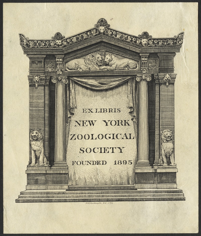 New York Zoological Society — A. N. Macdonald