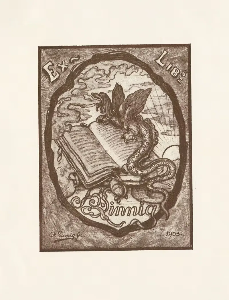 Бернар Линниг by Бернар Линнинг, 1903 — digital art print download