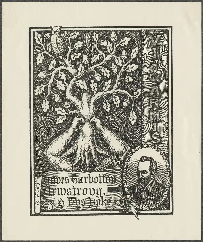 Джеймс Тарботтон Армстронг by С. Элард, 1900 — digital art print download