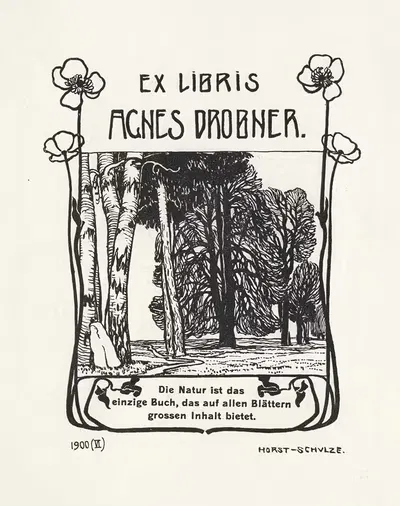 Agnes Drobner. by Paul Horst-Schulze, 1900 — digital art print download